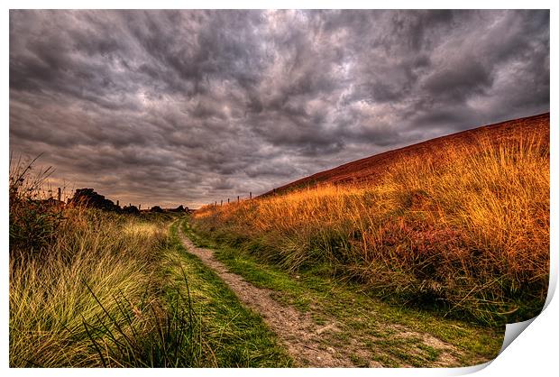 Moorland Track Print by Jeni Harney