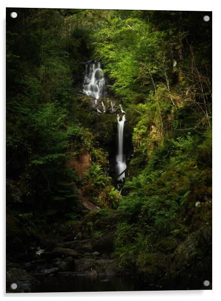 Little Fawn Waterfall, Aberfoyle. Acrylic by Tommy Dickson