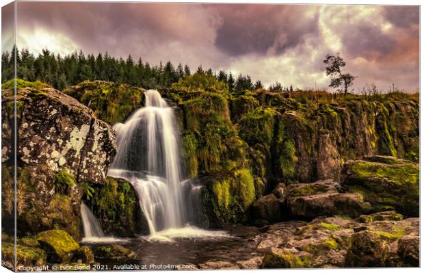 Fintry Waterfall Canvas Print by Ivor Bond