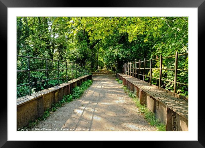 Clare disused Railway Line Walk Framed Mounted Print by Diana Mower