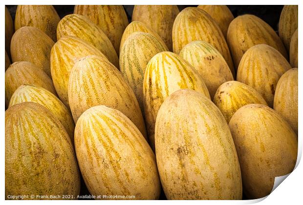 Closeup shot of yellow melons Print by Frank Bach