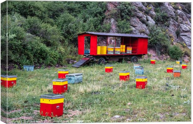 A beautiful shot of red and yellow hive boxes in a mountain Canvas Print by Frank Bach