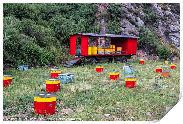 A beautiful shot of red and yellow hive boxes in a mountain Print by Frank Bach