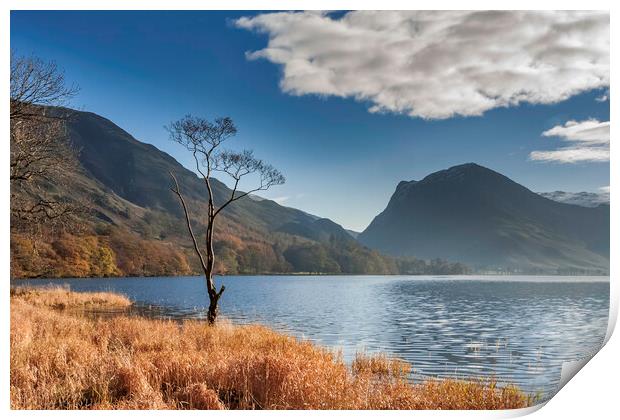 Buttermere, Lake Distict Print by Andrew Sharpe