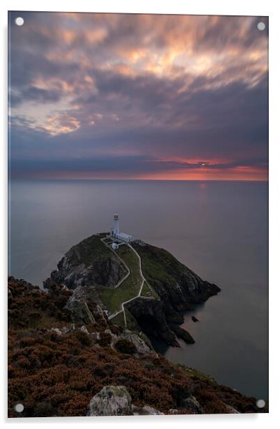 South Stack lighthouse, Anglesey Acrylic by Sandra Kepkowska