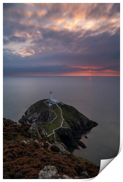 South Stack lighthouse, Anglesey Print by Sandra Kepkowska