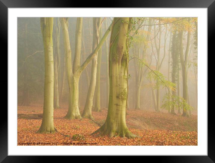 Autumn Fog in Colton Wood Framed Mounted Print by Bill Daniels