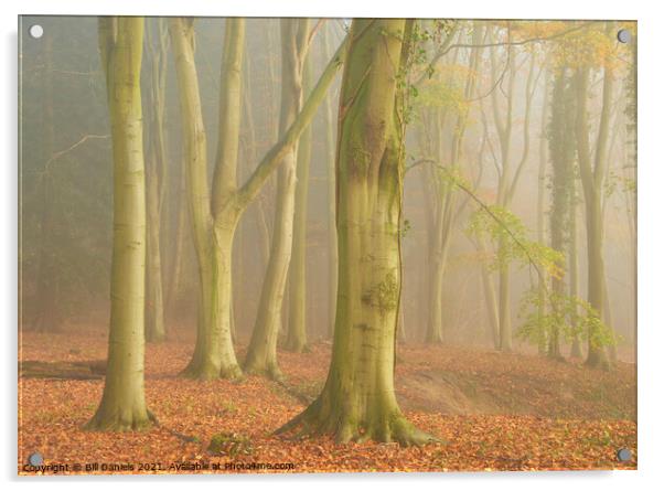 Autumn Fog in Colton Wood Acrylic by Bill Daniels