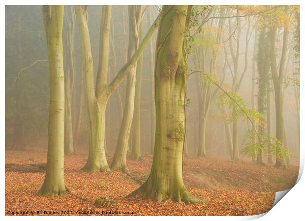 Autumn Fog in Colton Wood Print by Bill Daniels