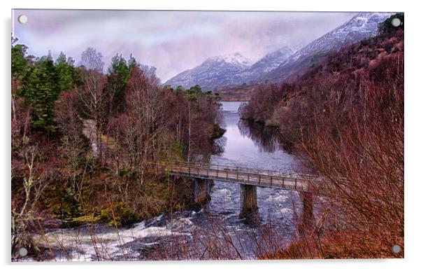 Late Winter Glen Affric Acrylic by Jacqi Elmslie