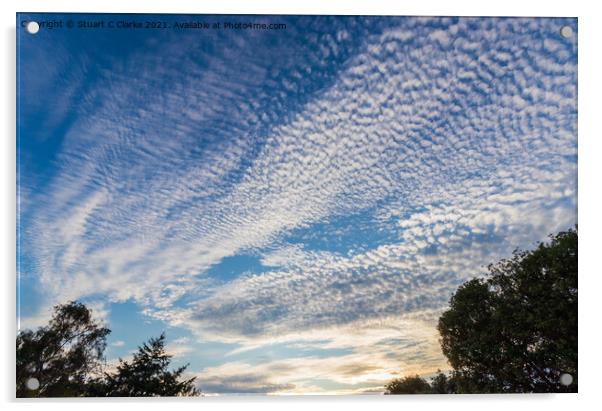 Little fluffy clouds Acrylic by Stuart C Clarke