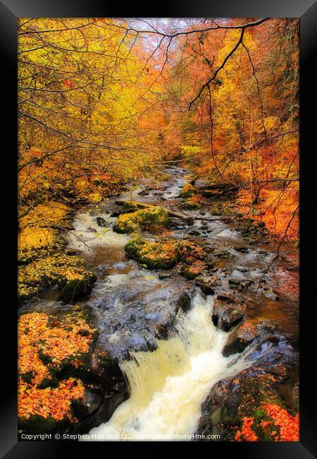 Aberfeldy Autumn Framed Print by Stephen Hamer