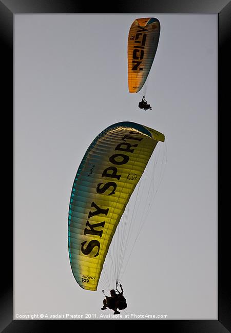 Paragliders Framed Print by Alasdair Preston