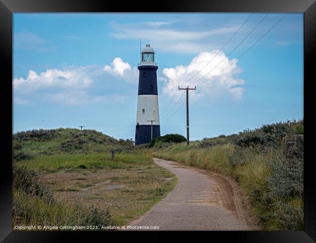 Lighthouse at Spurn Point Framed Print by Angela Cottingham