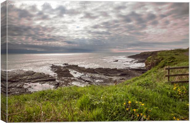 Howick dramatic coastline Canvas Print by Kevin White
