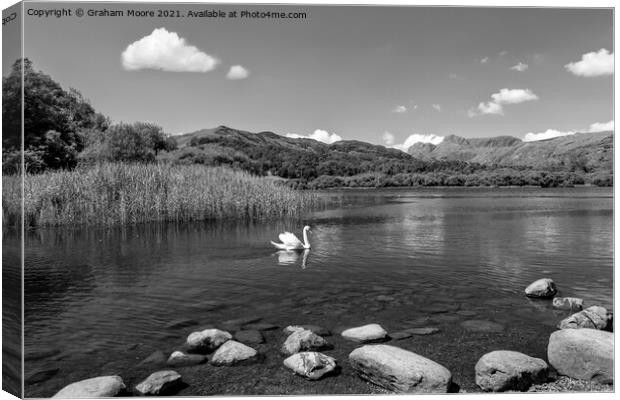 Swan on Elterwater monochrome Canvas Print by Graham Moore