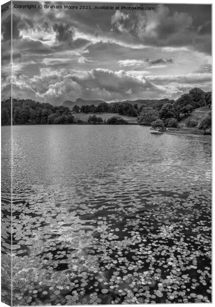 Water lilies at Loughrigg Tarn monochrome Canvas Print by Graham Moore