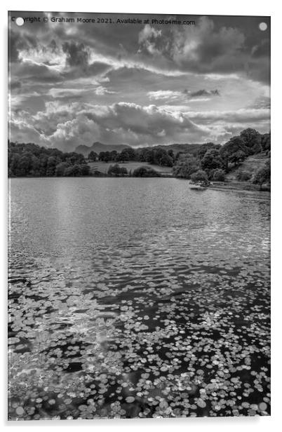 Water lilies at Loughrigg Tarn monochrome Acrylic by Graham Moore
