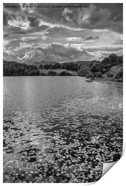 Water lilies at Loughrigg Tarn monochrome Print by Graham Moore