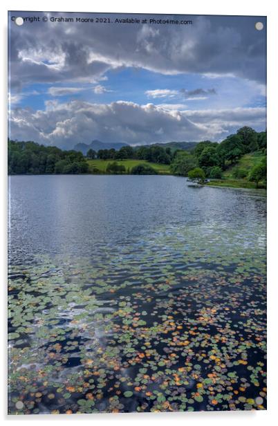 Water lilies at Loughrigg Tarn Acrylic by Graham Moore
