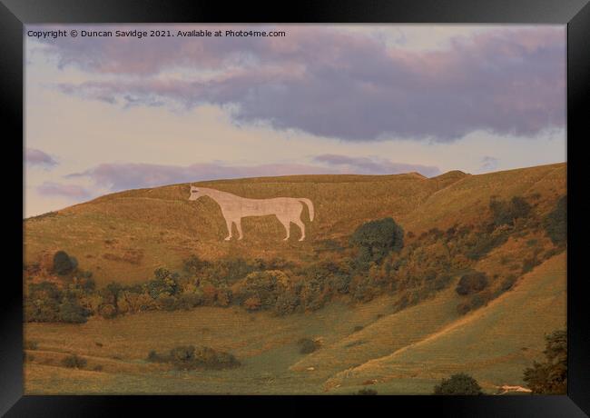 Golden light on the Westbury white horse Framed Print by Duncan Savidge