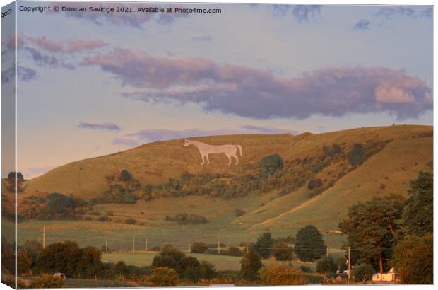 Golden light on the Westbury white horse Canvas Print by Duncan Savidge