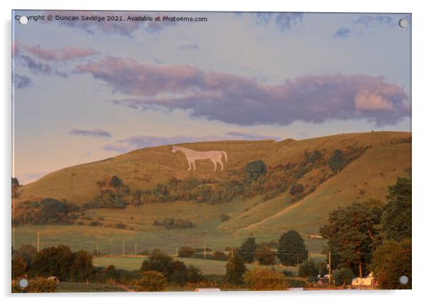 Golden light on the Westbury white horse Acrylic by Duncan Savidge