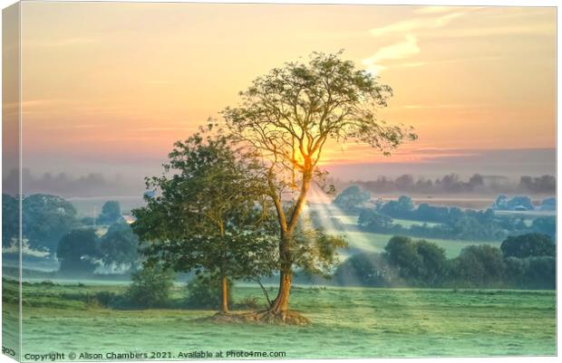 Axminster Landscape at Dawn Canvas Print by Alison Chambers