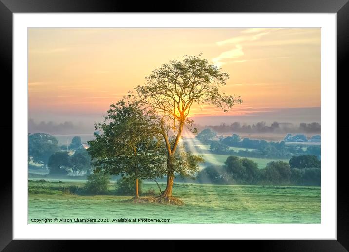 Axminster Landscape at Dawn Framed Mounted Print by Alison Chambers