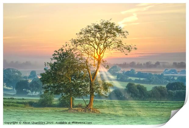 Axminster Landscape at Dawn Print by Alison Chambers