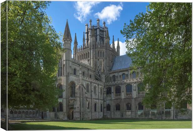 Ely Cathedral Canvas Print by Andrew Sharpe