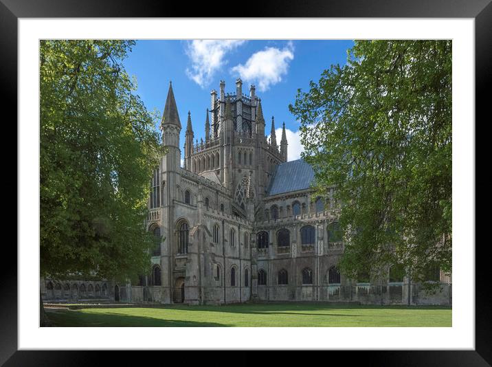 Ely Cathedral Framed Mounted Print by Andrew Sharpe
