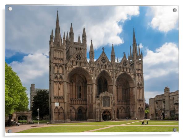 Peterborough Cathedral Acrylic by Andrew Sharpe