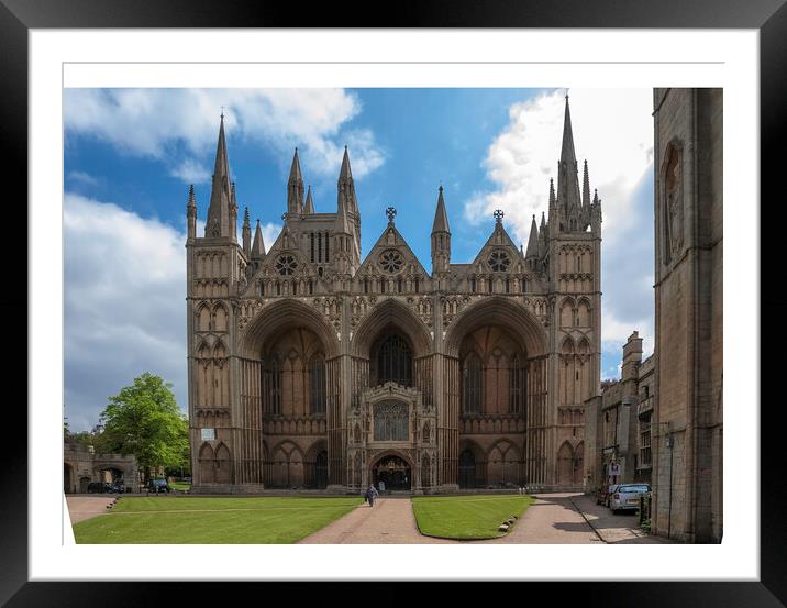Peterborough Cathedral Framed Mounted Print by Andrew Sharpe
