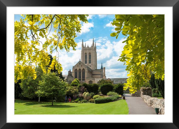 Bury St Edmunds Cathedral, Suffolk Framed Mounted Print by Andrew Sharpe