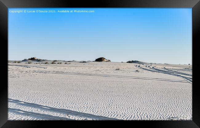 Tracks on desert sand Framed Print by Lucas D'Souza