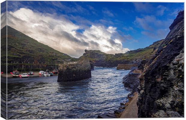 Boscastle Canvas Print by Andrew Sharpe