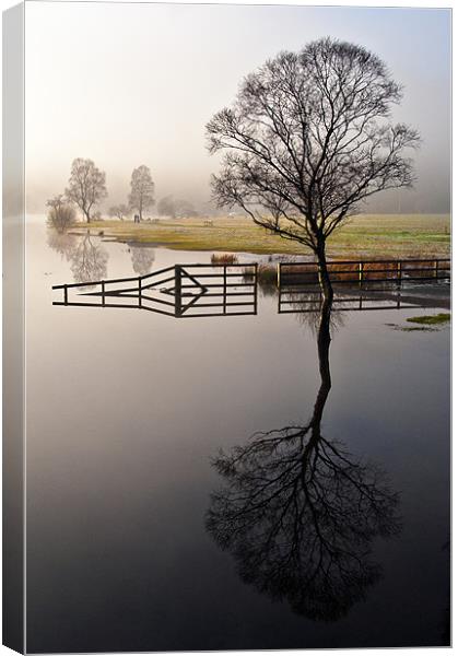 The Reflections, Ullswater Canvas Print by Jason Connolly