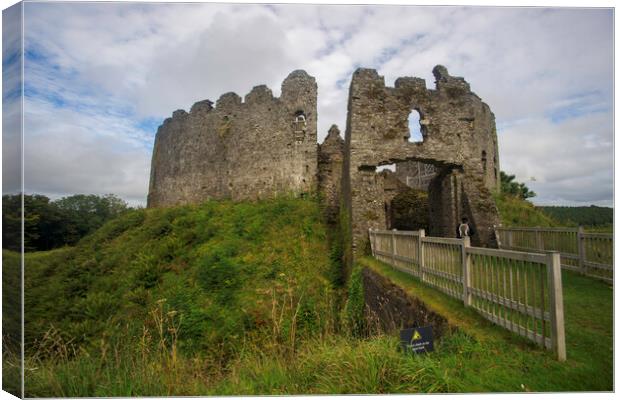 Restormel Castle, Cornwall Canvas Print by Andrew Sharpe