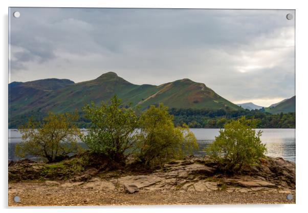 Catbells over Derwentwater Acrylic by Roger Green