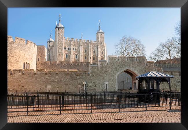 The White Tower, Tower of London Framed Print by Andrew Sharpe