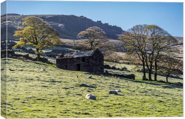 Dawn over The Roaches and Hen Cloud, 25th April 2017 Canvas Print by Andrew Sharpe