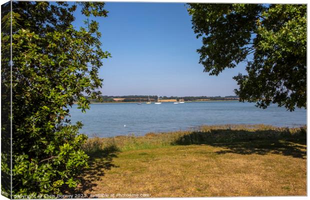 Manningtree in Essex, UK Canvas Print by Chris Dorney