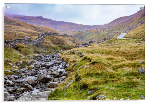 Wrynose Pass Acrylic by David Hare