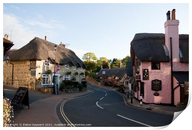 Shanklin Old Village Print by Elaine Hayward