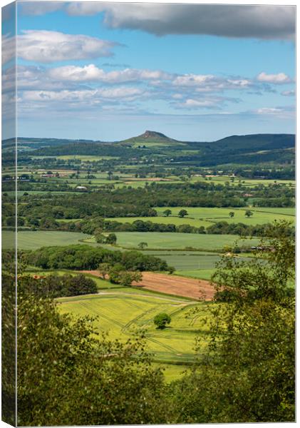 A prospect of Roseberry Topping Canvas Print by Gary Eason