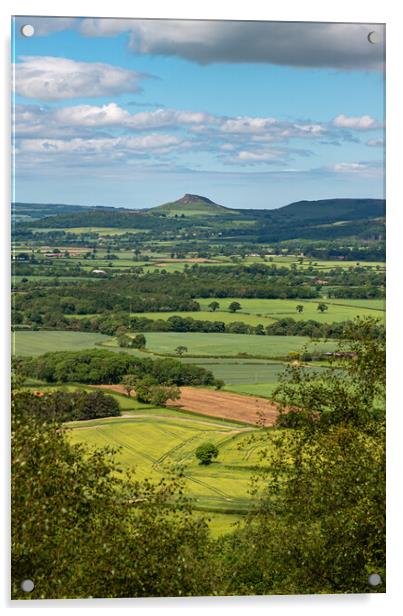 A prospect of Roseberry Topping Acrylic by Gary Eason