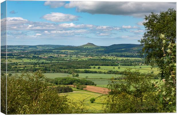 A prospect of Roseberry Topping Canvas Print by Gary Eason