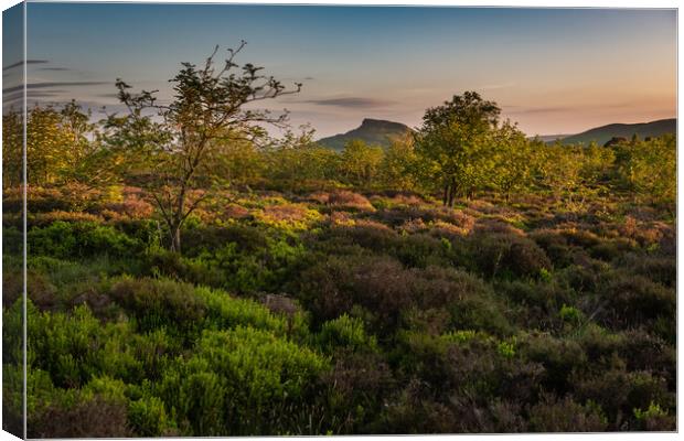 Sunrise on Roseberry Topping Canvas Print by Gary Eason