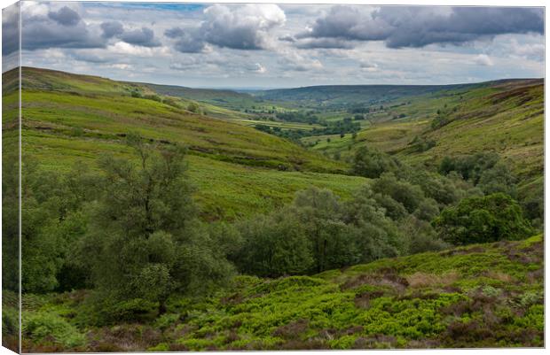 Rosedale view Canvas Print by Gary Eason